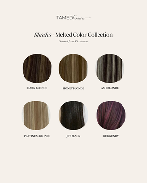 Pre-Colored Extensions